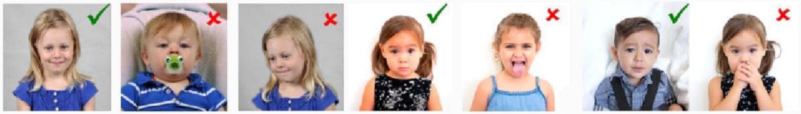 Photo examples — green checkmarks show acceptable photos, red crosses show unacceptable photos